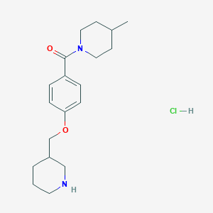 molecular formula C19H29ClN2O2 B1396988 4-甲基-1-[4-(哌啶-3-基甲氧基)苯甲酰]-哌啶盐酸盐 CAS No. 1332531-10-8