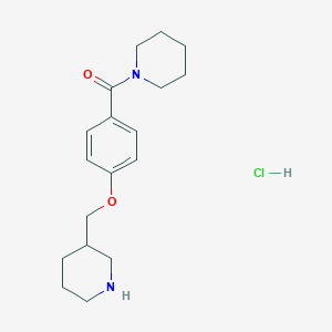 molecular formula C18H27ClN2O2 B1397000 1-[4-(Piperidin-3-ylmethoxy)benzoyl]piperidinehydrochloride CAS No. 1332531-15-3