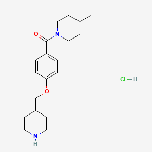 molecular formula C19H29ClN2O2 B1397006 4-Methyl-1-[4-(piperidin-4-ylmethoxy)benzoyl]-piperidine hydrochloride CAS No. 1332531-28-8