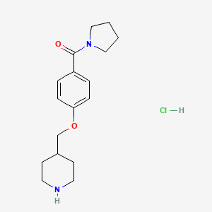 molecular formula C17H25ClN2O2 B1397008 4-{[4-(Pyrrolidin-1-ylcarbonyl)phenoxy]-methyl}piperidine hydrochloride CAS No. 1332530-81-0