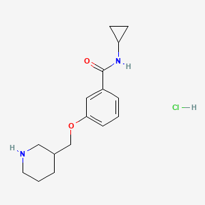 molecular formula C16H23ClN2O2 B1397009 N-Cyclopropyl-3-(piperidin-3-ylmethoxy)benzamidehydrochloride CAS No. 1332531-30-2