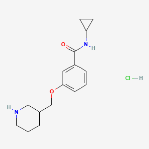 molecular formula C16H23ClN2O2 B1397009 N-cyclopropyl-3-(piperidin-3-ylmethoxy)benzamide hydrochloride CAS No. 1332531-30-2