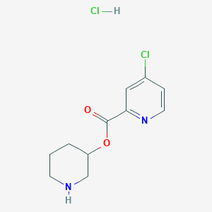 molecular formula C11H14Cl2N2O2 B1397042 3-Piperidinyl 4-chloro-2-pyridinecarboxylate hydrochloride CAS No. 1219949-52-6