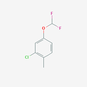 molecular formula C8H7ClF2O B1397156 2-Chloro-4-(difluoromethoxy)-1-methylbenzene CAS No. 1261685-46-4