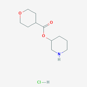 3-Piperidinyl tetrahydro-2H-pyran-4-carboxylate hydrochloride