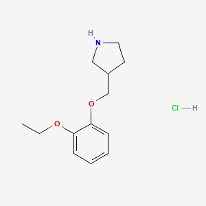 molecular formula C13H20ClNO2 B1397299 3-[(2-Ethoxyphenoxy)methyl]pyrrolidine hydrochloride CAS No. 1219949-23-1