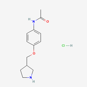 N-[4-(3-Pyrrolidinylmethoxy)phenyl]acetamide hydrochloride