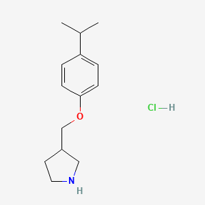 3-[(4-Isopropylphenoxy)methyl]pyrrolidine hydrochloride