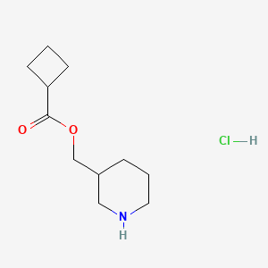 3-Piperidinylmethyl cyclobutanecarboxylate hydrochloride