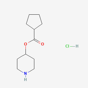 molecular formula C11H20ClNO2 B1397308 4-哌啶基环戊烷甲酸盐酸盐 CAS No. 1219948-62-5
