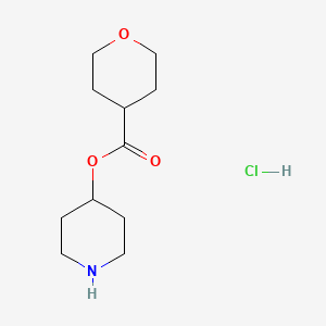 molecular formula C11H20ClNO3 B1397351 4-Piperidinyl tetrahydro-2H-pyran-4-carboxylate hydrochloride CAS No. 1220031-89-9