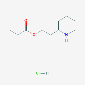molecular formula C11H22ClNO2 B1397353 2-(2-Piperidinyl)ethyl 2-methylpropanoate hydrochloride CAS No. 1219979-79-9