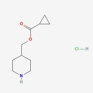 molecular formula C10H18ClNO2 B1397354 4-Piperidinylmethyl cyclopropanecarboxylate hydrochloride CAS No. 1219968-10-1