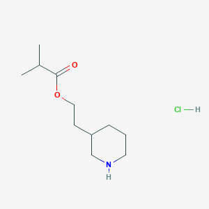 molecular formula C11H22ClNO2 B1397355 2-(3-哌啶基)乙基 2-甲基丙酸盐酸盐 CAS No. 1220032-00-7