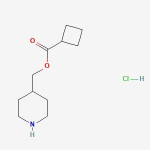 molecular formula C11H20ClNO2 B1397357 4-Piperidinylmethyl cyclobutanecarboxylate hydrochloride CAS No. 1219980-77-4