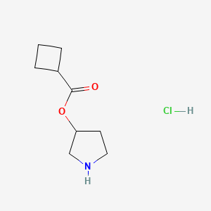 molecular formula C9H16ClNO2 B1397358 3-Pyrrolidinyl cyclobutanecarboxylate hydrochloride CAS No. 1220032-01-8