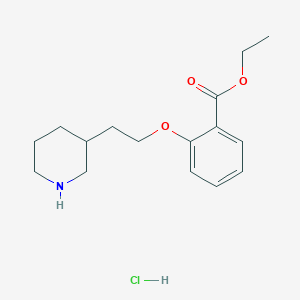 molecular formula C16H24ClNO3 B1397359 Ethyl 2-[2-(3-piperidinyl)ethoxy]benzoate hydrochloride CAS No. 1220034-05-8