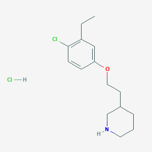 molecular formula C15H23Cl2NO B1397361 3-[2-(4-氯-3-乙基苯氧基)乙基]哌啶盐酸盐 CAS No. 1220034-27-4