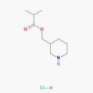 molecular formula C10H20ClNO2 B1397365 3-Piperidinylmethyl 2-methylpropanoate hydrochloride CAS No. 1219979-85-7