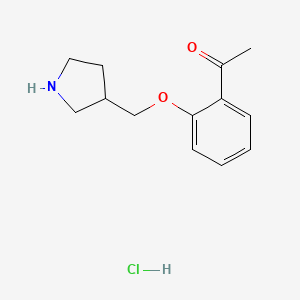 molecular formula C13H18ClNO2 B1397370 1-[2-(3-Pyrrolidinylmethoxy)phenyl]-1-ethanone hydrochloride CAS No. 1220017-40-2