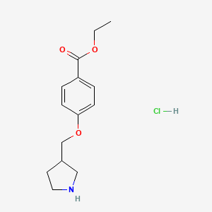molecular formula C14H20ClNO3 B1397372 Ethyl 4-(3-pyrrolidinylmethoxy)benzoate hydrochloride CAS No. 1220027-68-8