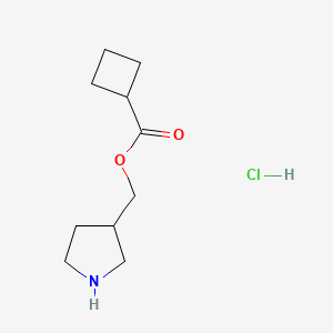 molecular formula C10H18ClNO2 B1397379 Pyrrolidin-3-ylmethyl cyclobutanecarboxylate hydrochloride CAS No. 1220021-53-3