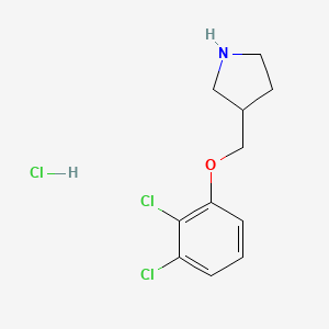 molecular formula C11H14Cl3NO B1397390 3-[(2,3-Dichlorophenoxy)methyl]pyrrolidine hydrochloride CAS No. 1219949-17-3