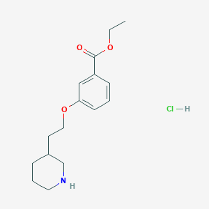 molecular formula C16H24ClNO3 B1397397 Ethyl 3-[2-(3-piperidinyl)ethoxy]benzoate hydrochloride CAS No. 1219980-78-5