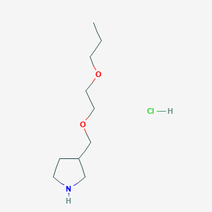 molecular formula C10H22ClNO2 B1397497 3-[(2-Propoxyethoxy)methyl]pyrrolidine hydrochloride CAS No. 1220018-79-0
