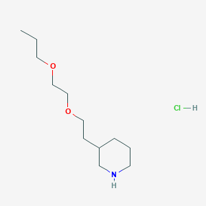 molecular formula C12H26ClNO2 B1397498 3-[2-(2-Propoxyethoxy)ethyl]piperidine hydrochloride CAS No. 1219981-19-7