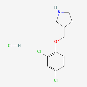 molecular formula C11H14Cl3NO B1397502 3-[(2,4-Dichlorophenoxy)methyl]pyrrolidine hydrochloride CAS No. 1219949-21-9