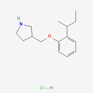 molecular formula C15H24ClNO B1397507 3-{[2-(sec-Butyl)phenoxy]methyl}pyrrolidine hydrochloride CAS No. 1219972-76-5