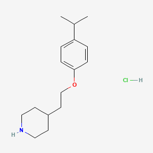 molecular formula C16H26ClNO B1397525 4-[2-(4-Isopropylphenoxy)ethyl]piperidine hydrochloride CAS No. 1219982-25-8