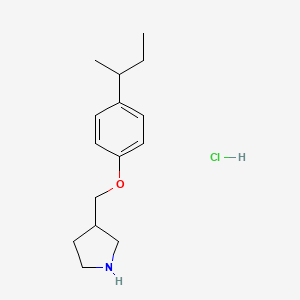 molecular formula C15H24ClNO B1397530 3-{[4-(sec-Butyl)phenoxy]methyl}pyrrolidine hydrochloride CAS No. 1219982-34-9