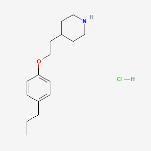 molecular formula C16H26ClNO B1397531 4-[2-(4-Propylphenoxy)ethyl]piperidine hydrochloride CAS No. 1219982-29-2