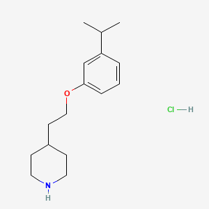 molecular formula C16H26ClNO B1397535 4-[2-(3-Isopropylphenoxy)ethyl]piperidine hydrochloride CAS No. 1220031-90-2