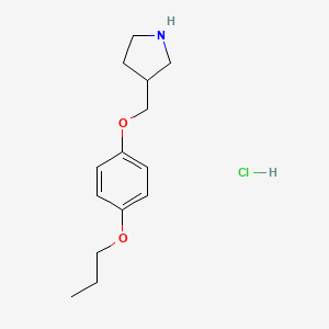 3-[(4-Propoxyphenoxy)methyl]pyrrolidine hydrochloride