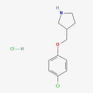 molecular formula C11H15Cl2NO B1397548 3-[(4-Chlorophenoxy)methyl]pyrrolidine hydrochloride CAS No. 1219981-30-2