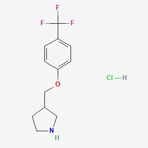 molecular formula C12H15ClF3NO B1397551 3-{[4-(Trifluoromethyl)phenoxy]methyl}pyrrolidine hydrochloride CAS No. 1219963-75-3