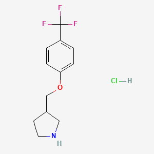 3-{[4-(Trifluoromethyl)phenoxy]methyl}pyrrolidine hydrochloride