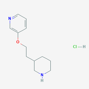 molecular formula C12H19ClN2O B1397554 3-[2-(3-Pyridinyloxy)ethyl]piperidine hydrochloride CAS No. 1220037-86-4