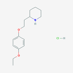 molecular formula C15H24ClNO2 B1397556 2-[2-(4-Ethoxyphenoxy)ethyl]piperidine hydrochloride CAS No. 1220016-38-5