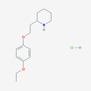 2-[2-(4-Ethoxyphenoxy)ethyl]piperidine hydrochloride