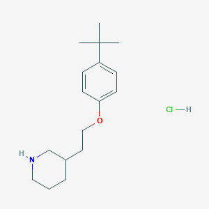 3-{2-[4-(tert-Butyl)phenoxy]ethyl}piperidine hydrochloride