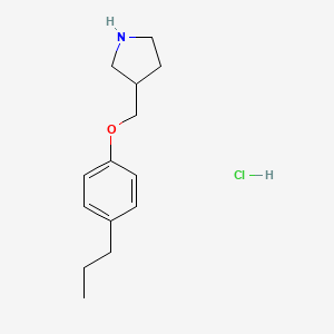 molecular formula C14H22ClNO B1397563 3-((4-Propylphenoxy)methyl)pyrrolidine hydrochloride CAS No. 1219982-43-0