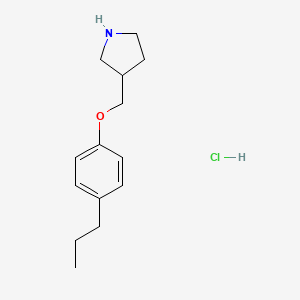3-[(4-Propylphenoxy)methyl]pyrrolidine hydrochloride