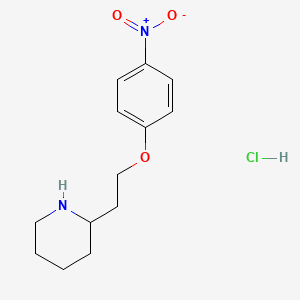 molecular formula C13H19ClN2O3 B1397564 2-[2-(4-Nitrophenoxy)ethyl]piperidine hydrochloride CAS No. 1220032-29-0