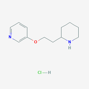 molecular formula C12H19ClN2O B1397566 2-[2-(3-Pyridinyloxy)ethyl]piperidine hydrochloride CAS No. 1220029-65-1
