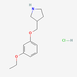 molecular formula C13H20ClNO2 B1397572 3-[(3-Ethoxyphenoxy)methyl]pyrrolidine hydrochloride CAS No. 1220016-53-4