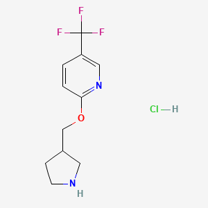 3-Pyrrolidinylmethyl 5-(trifluoromethyl)-2-pyridinyl ether hydrochloride